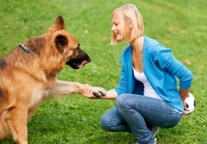 Gorgeous young blonde shaking her German Sheperd's paw