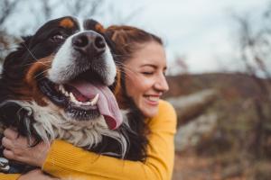 Советы для тех, кто планирует завести собаку