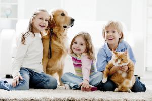 Дети и  животное в домашних условиях? Миссия выполнима
