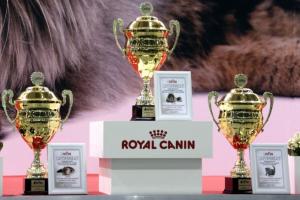2000 кошек поборются за титулы Гран-При ROYAL CANIN