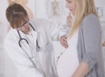Прививки от бешенства и беременность