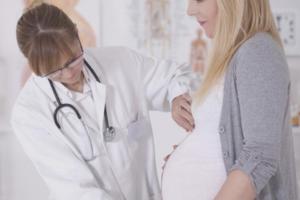 Прививки от бешенства и беременность