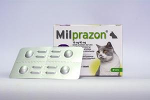 Лучшие антигельминтные препараты для котят