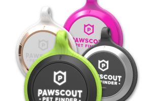Pawscout начнет выпускать новое электронное устройство для домашних питомцев